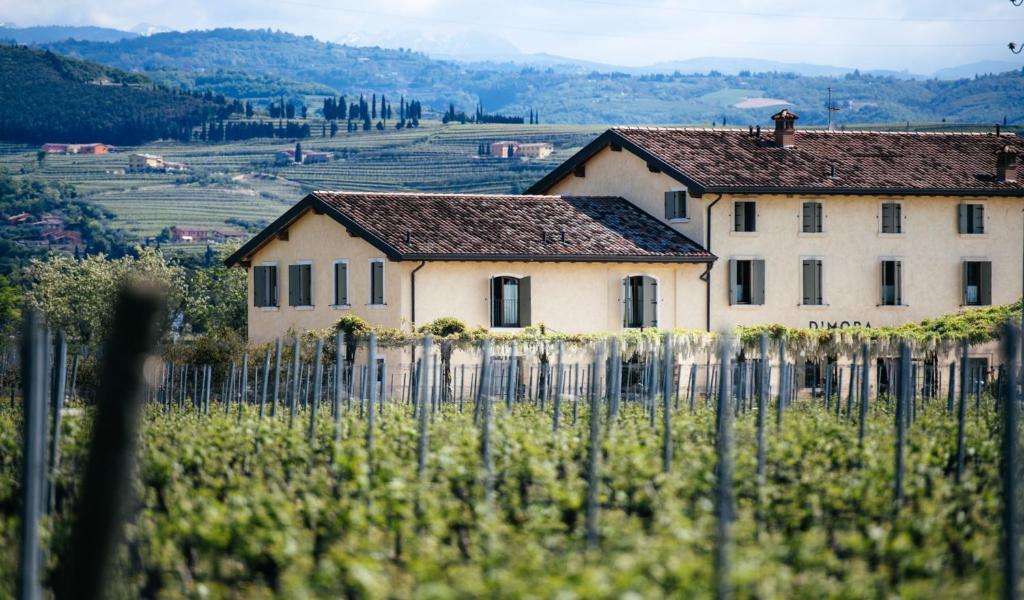 Image of  Dimora Buglioni Wine Relais 