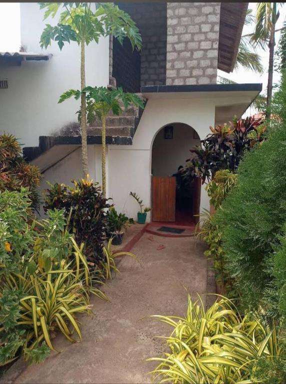 Image of  Ashok Guest House 