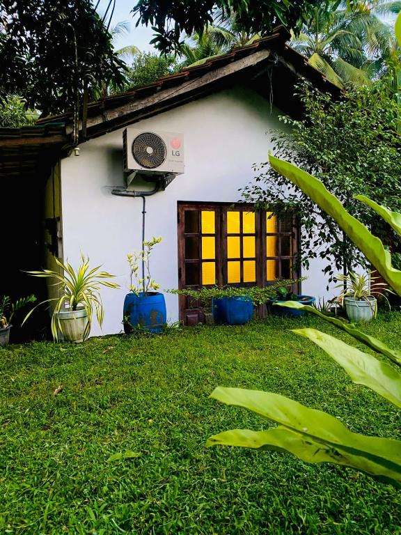 Image of  Sachi's Place 