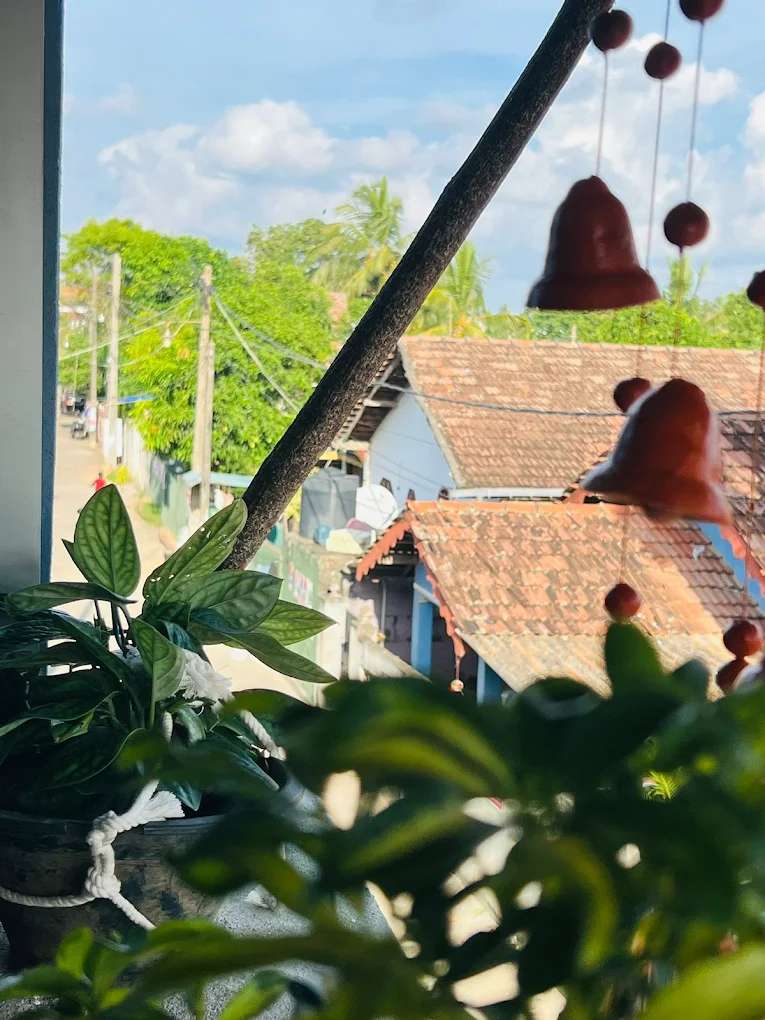 Image of  Daisy Guest House 