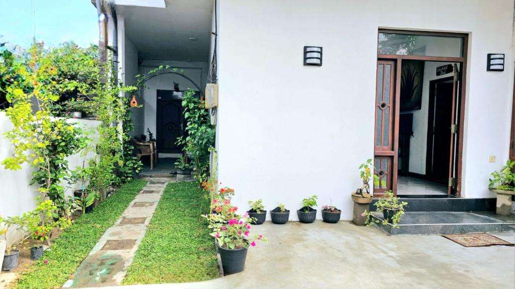 Image of  Aloevera Villa 