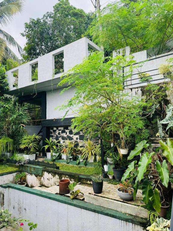 Image of  La Isla Homestay 