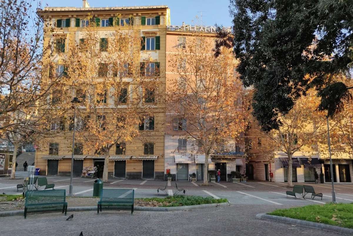 Image of  New Alexander Hotel 