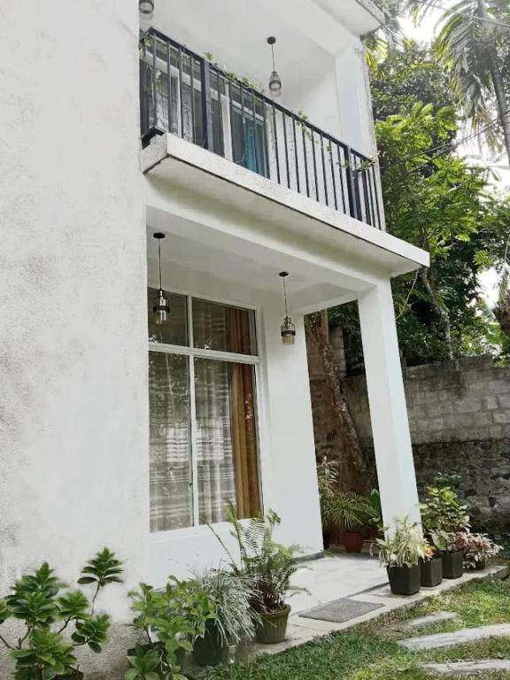Image of  Dreamfield Homestay 