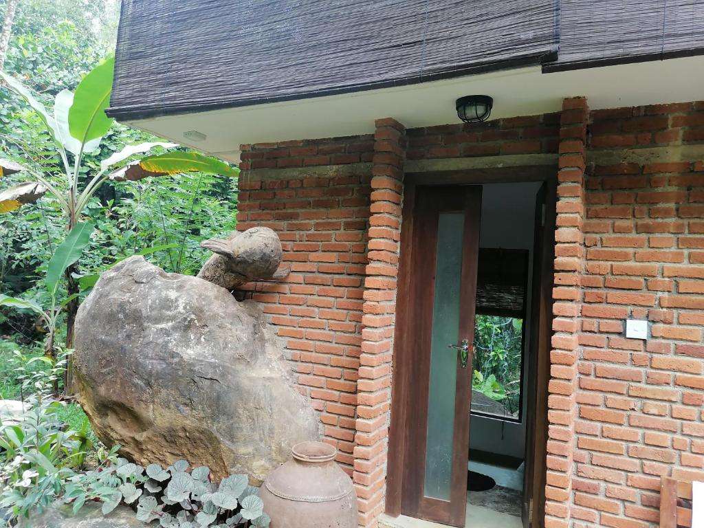 Image of  The Nature Kuruwita 