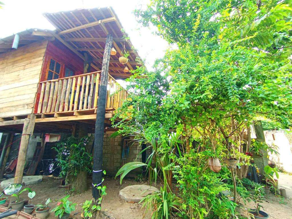 Image of  Parrot Tree House 