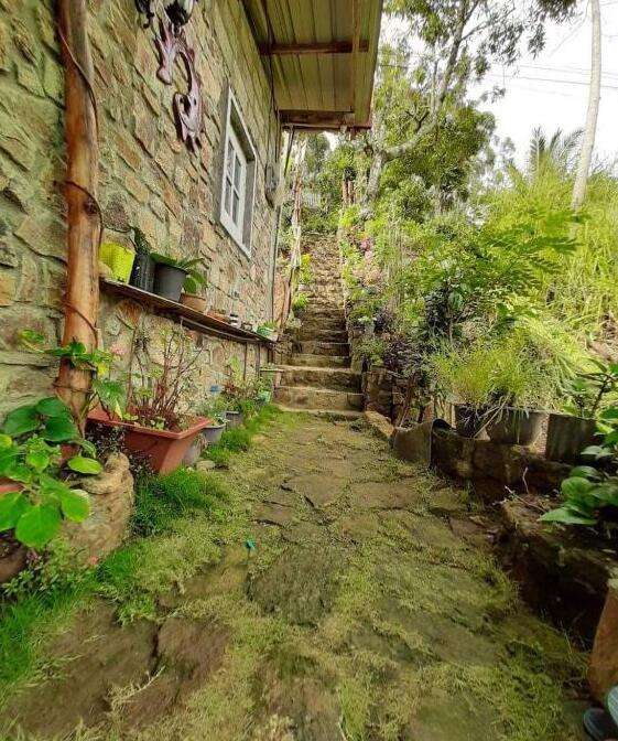 Image of  Biwon Homestay 