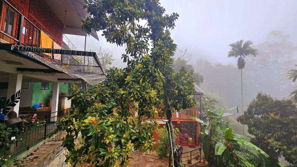 Image of  New Green View Resort 