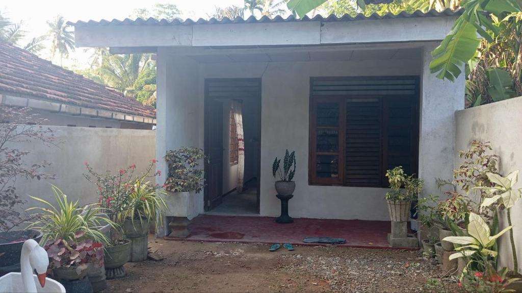 Image of  Tharu Holiday Home 