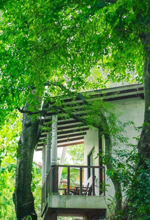 Image of  Tamarind Tree House 