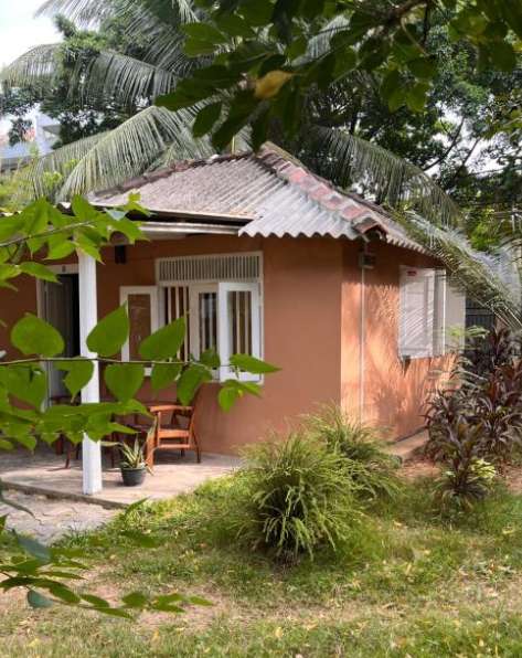 Image of  Cabana Capybara 