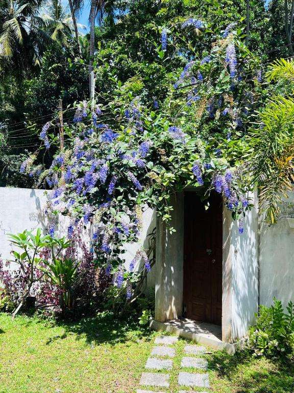 Image of  Sleepyhead Holiday House 