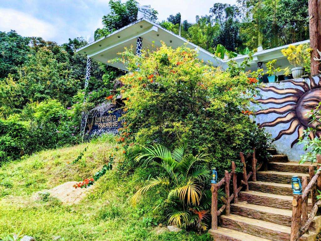 Image of  Lavendra Paradise 