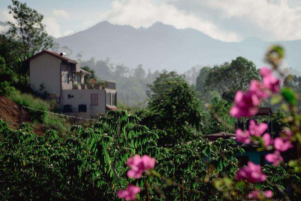 Image of  Ella Brown House 