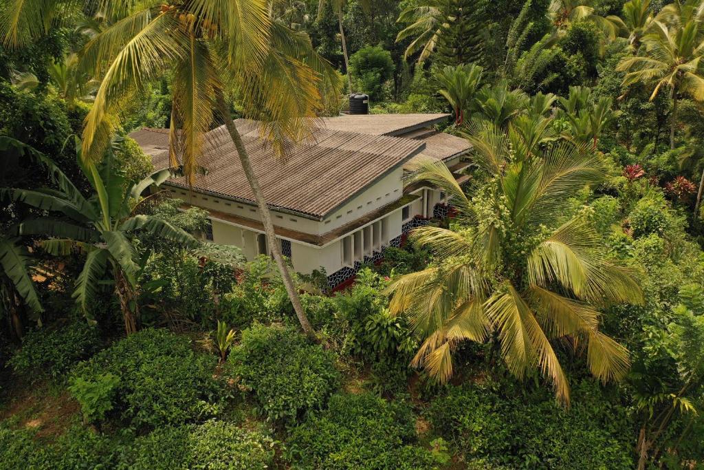 Image of  Sinharaja Tranquil Homestay 