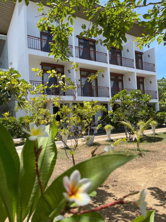 Image of  Amanda Beach Resort 