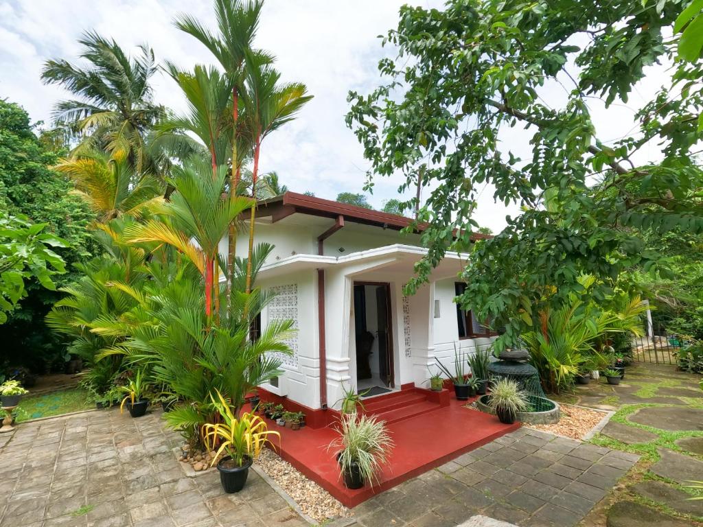 Image of  Palm Shade Villa 