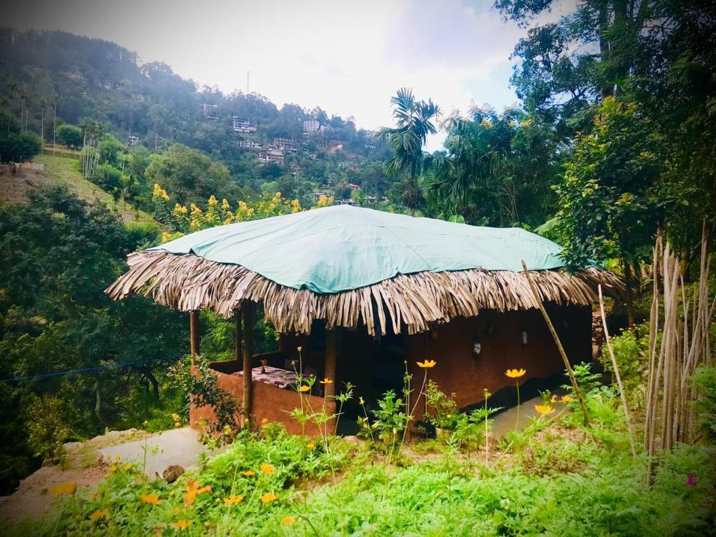 Image of  Ella Jungle Rock 