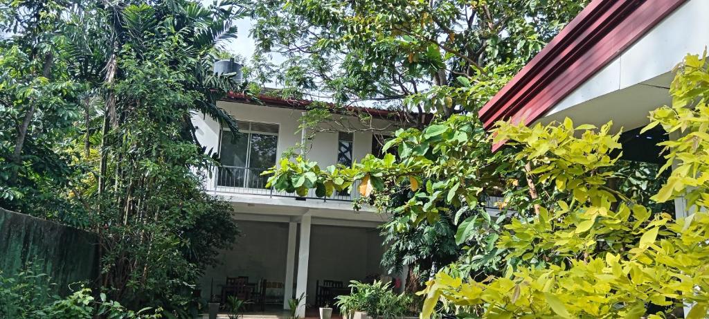 Image of  New Summer Set Inn 