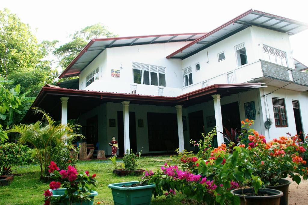 Image of  Homely Guest 