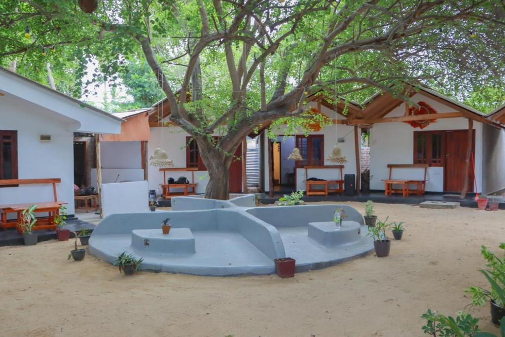 Image of  Stay Pura Vida 