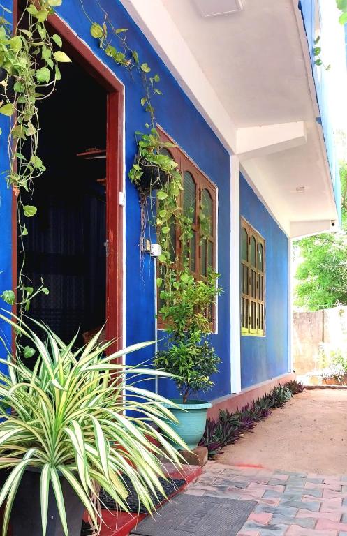 Image of  Sayura Guest House 