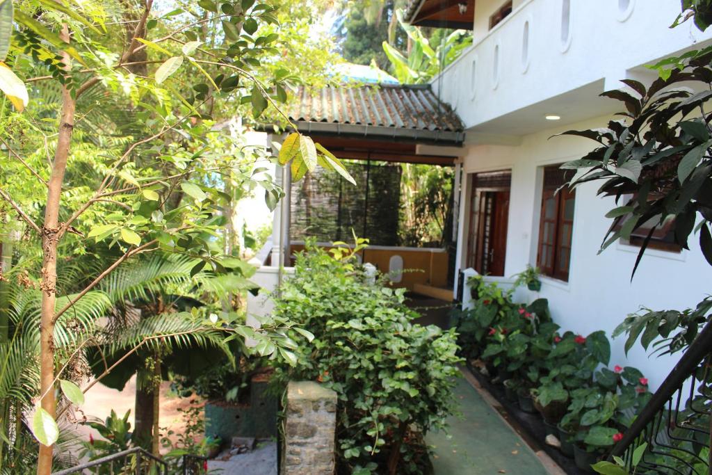 Image of  Alex Home Stay 