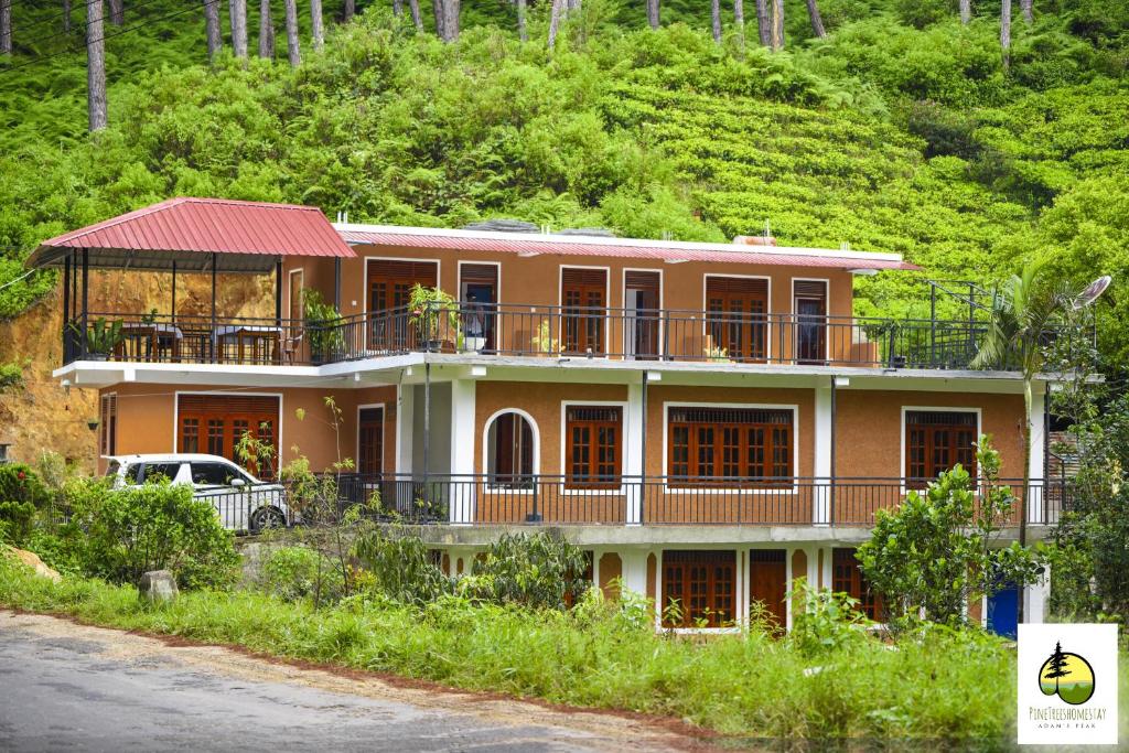 Image of  Pine Trees Homestay 