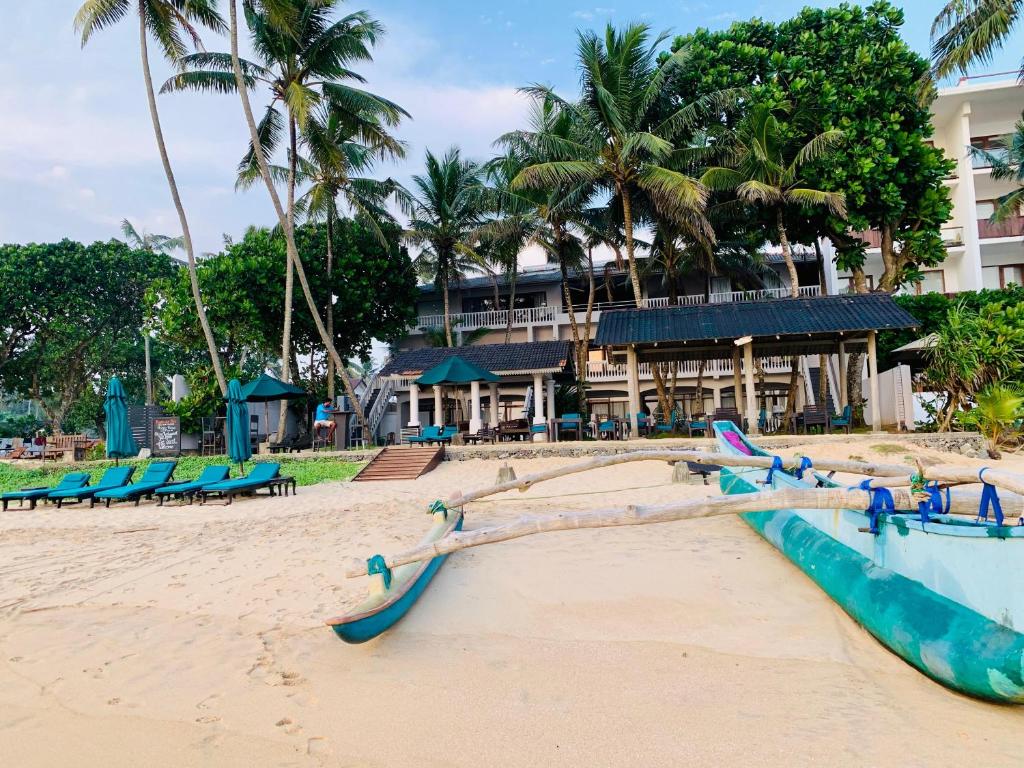 Image of  Suite Lanka 