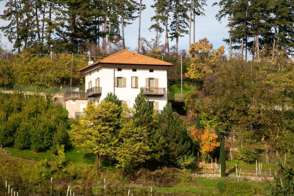 Image of  Casa Maia 
