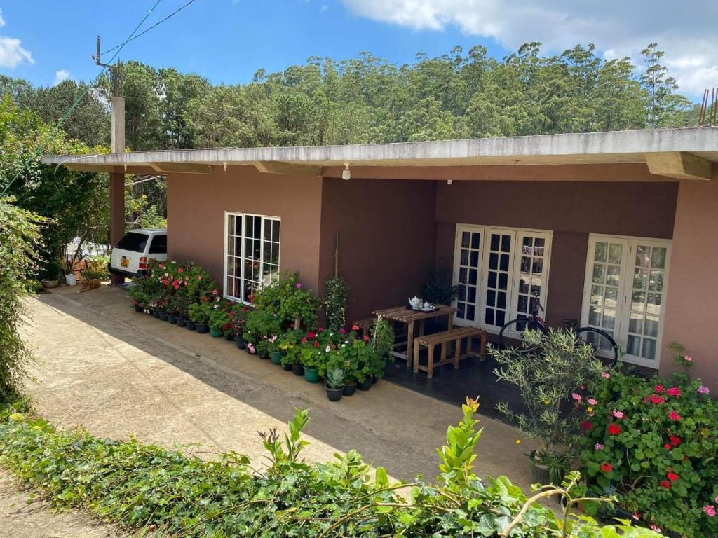 Image of  Keshiya Holiday Home 