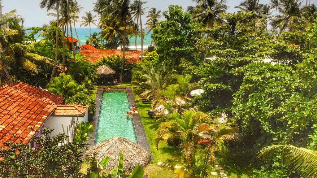 Image of  Turtle Eco Beach 