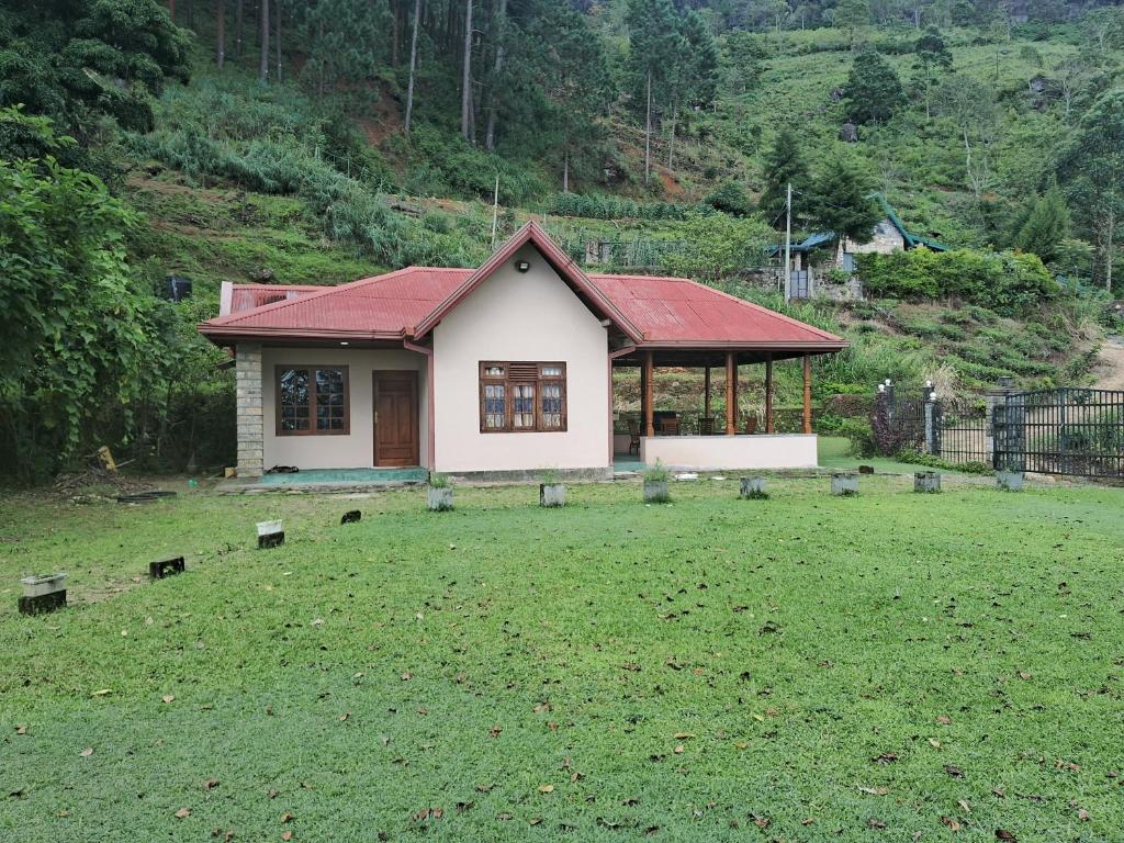 Image of  Tea Flower Adventure 