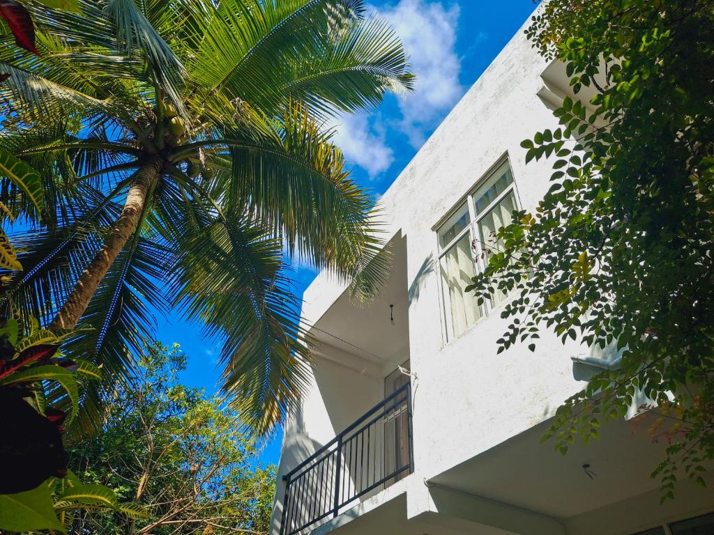 Image of  Zeleny Retreat Home Stay 