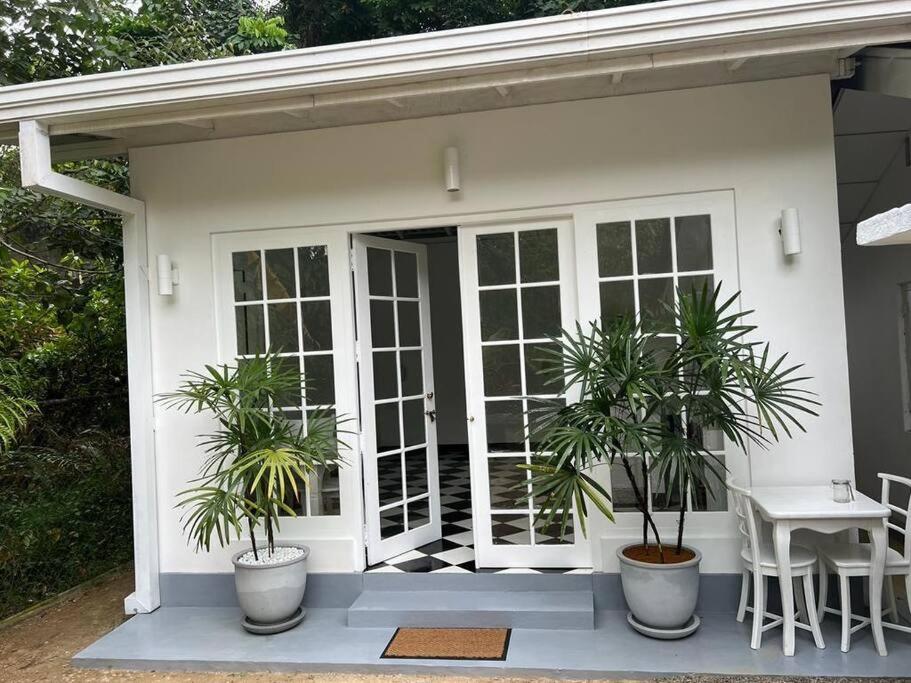 Image of  Jungle Villa Retreat 
