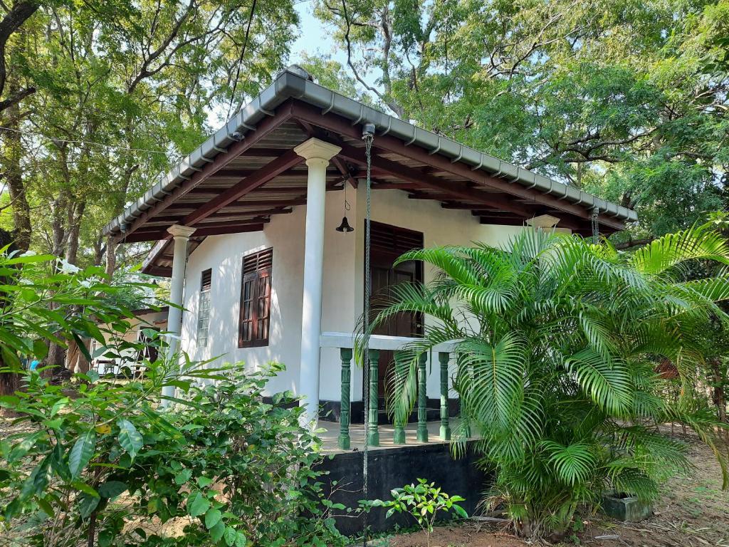 Image of  Katagamuwa Rest 