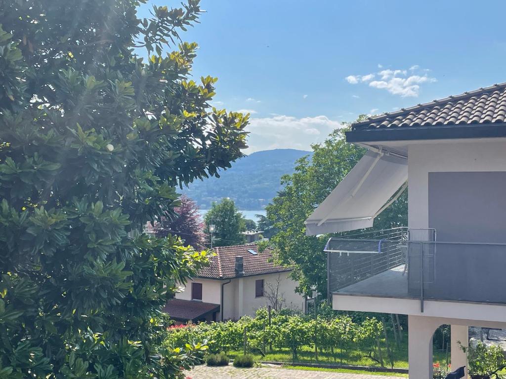 Image of  Ranco Lake Sunshine Apartment 