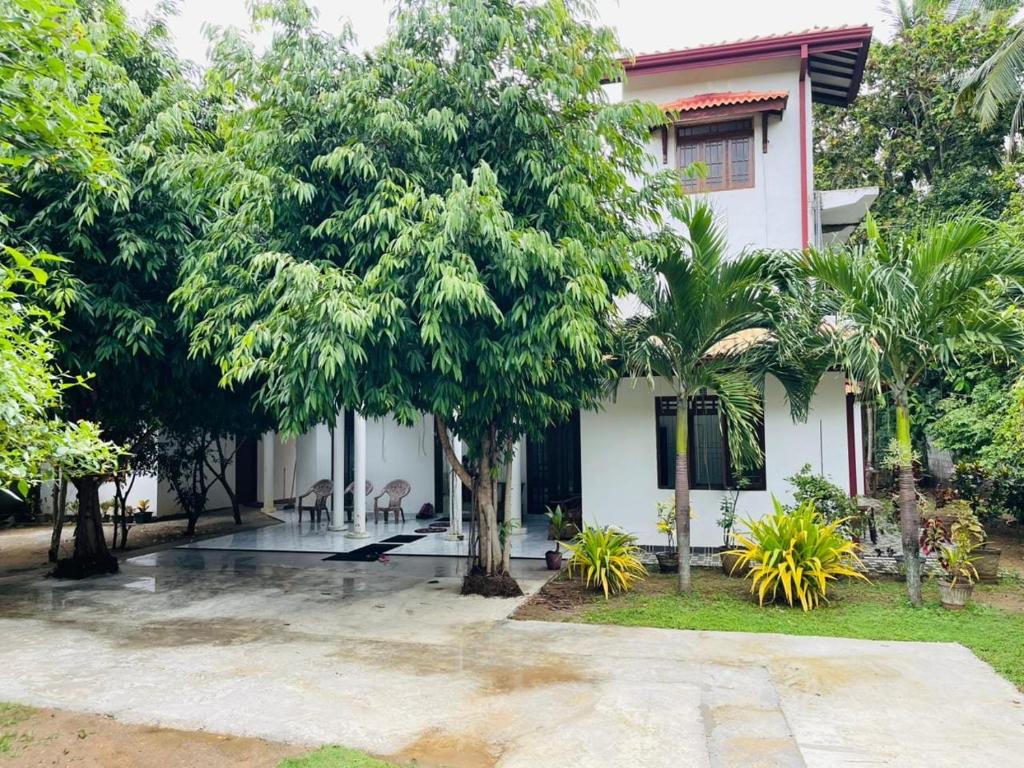 Image of  Holiday Home Girithale 