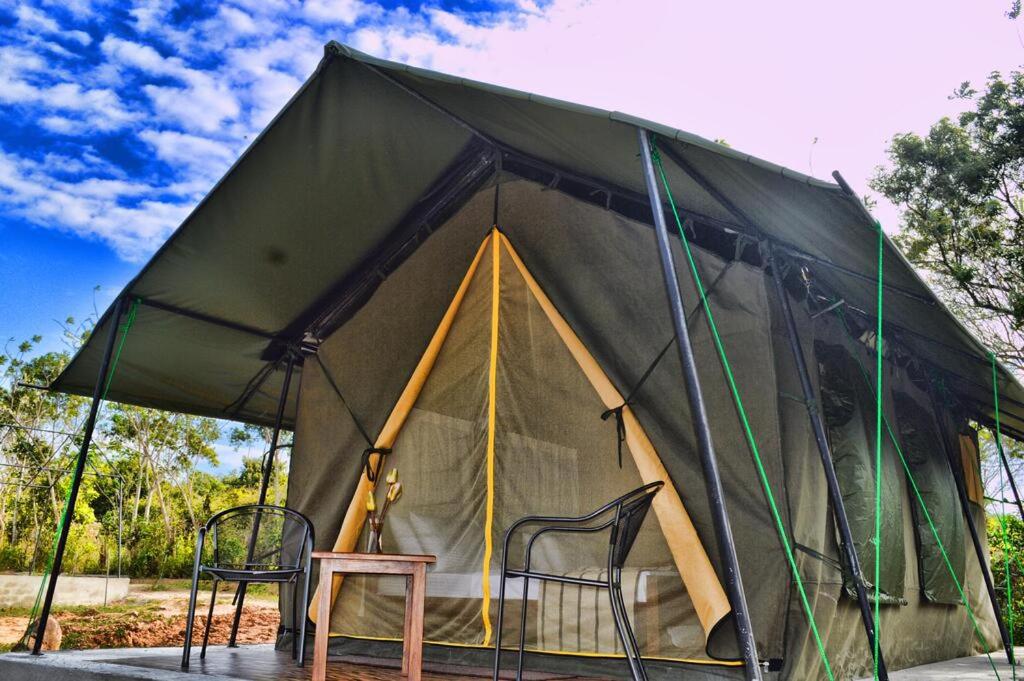 Image of  Wild Elephant Camping Moragollagama 