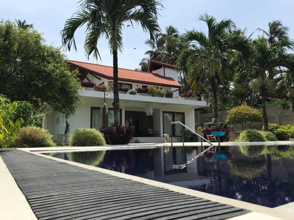 Image of  Colibri Villa 