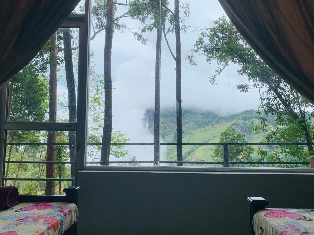 Image of  Pineapple Hills Ella 