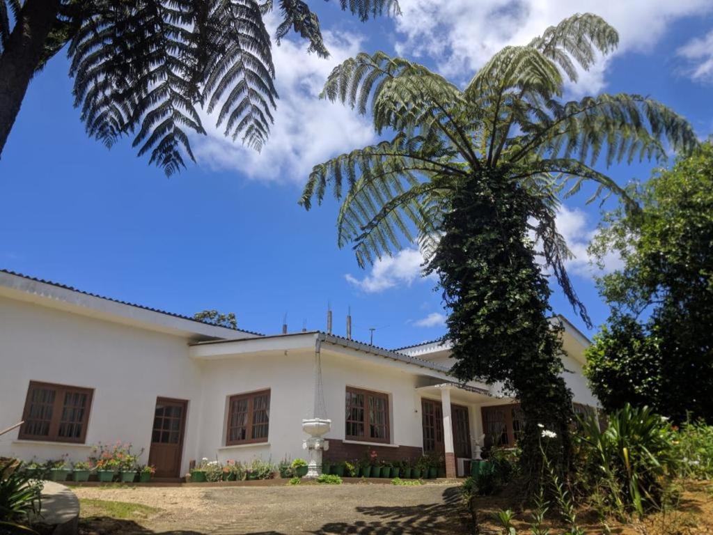 Image of  Acme Divine View 