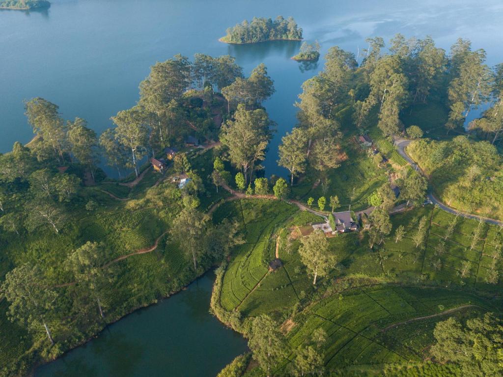 Image of  The Farm Resorts 