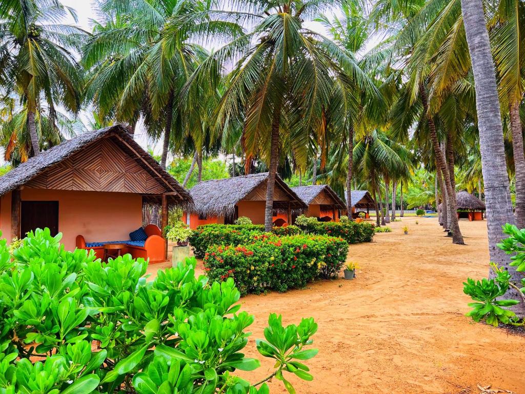 Image of  Roshanne Beach Resort 