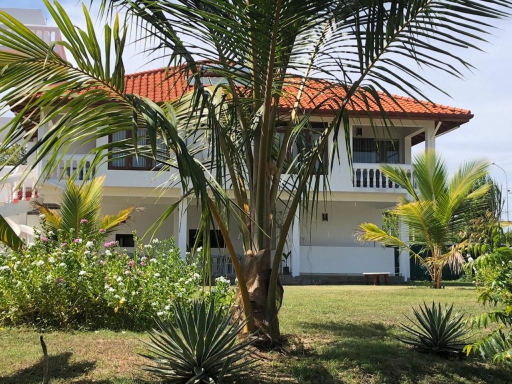Image of  Ypsylon Resort Ostküste 