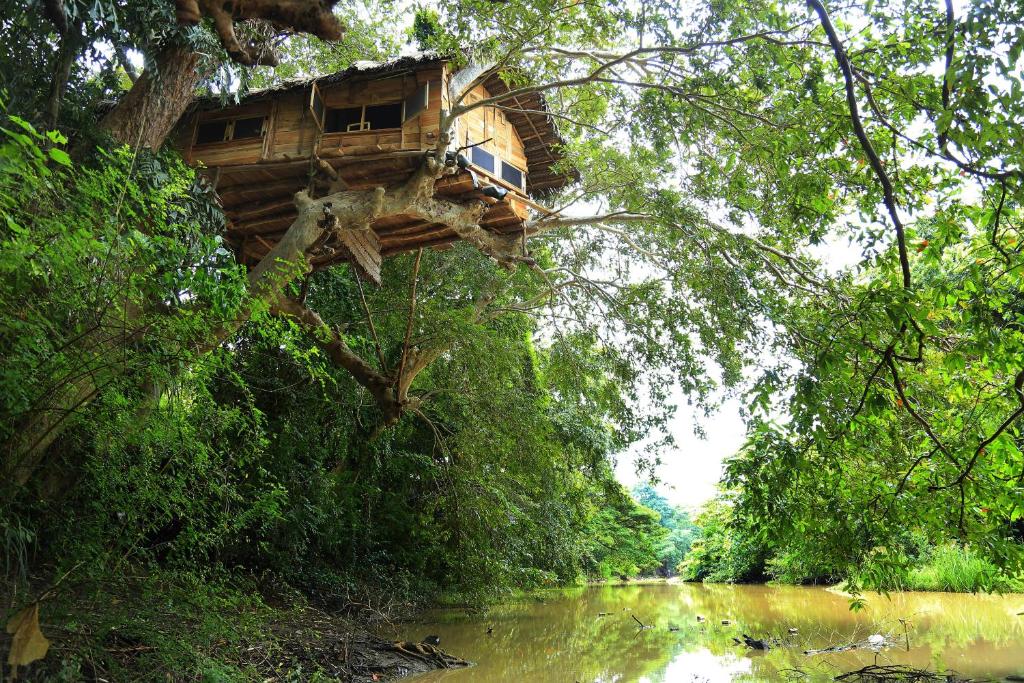 Image of  Kumbuk Tree House 