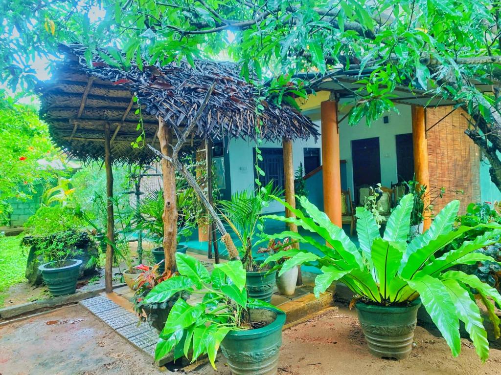 Image of  Sigiri Dilu Villa 
