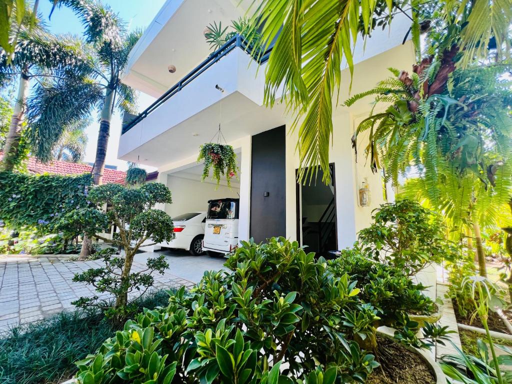 Image of  Tropical Plant Villa 