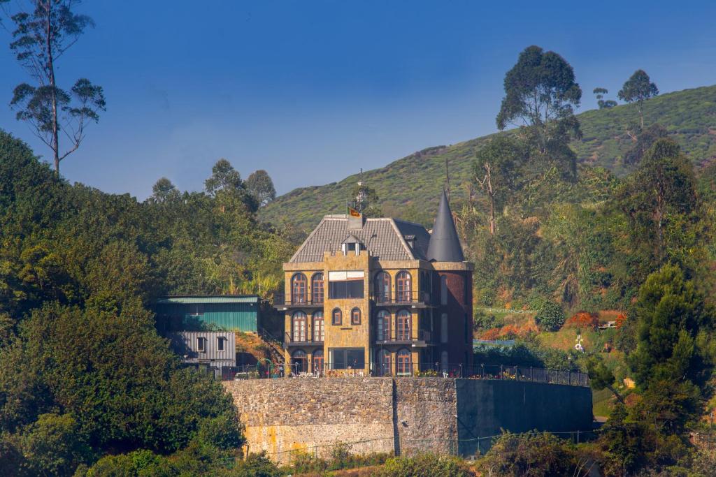 Image of  The Wind Castle 