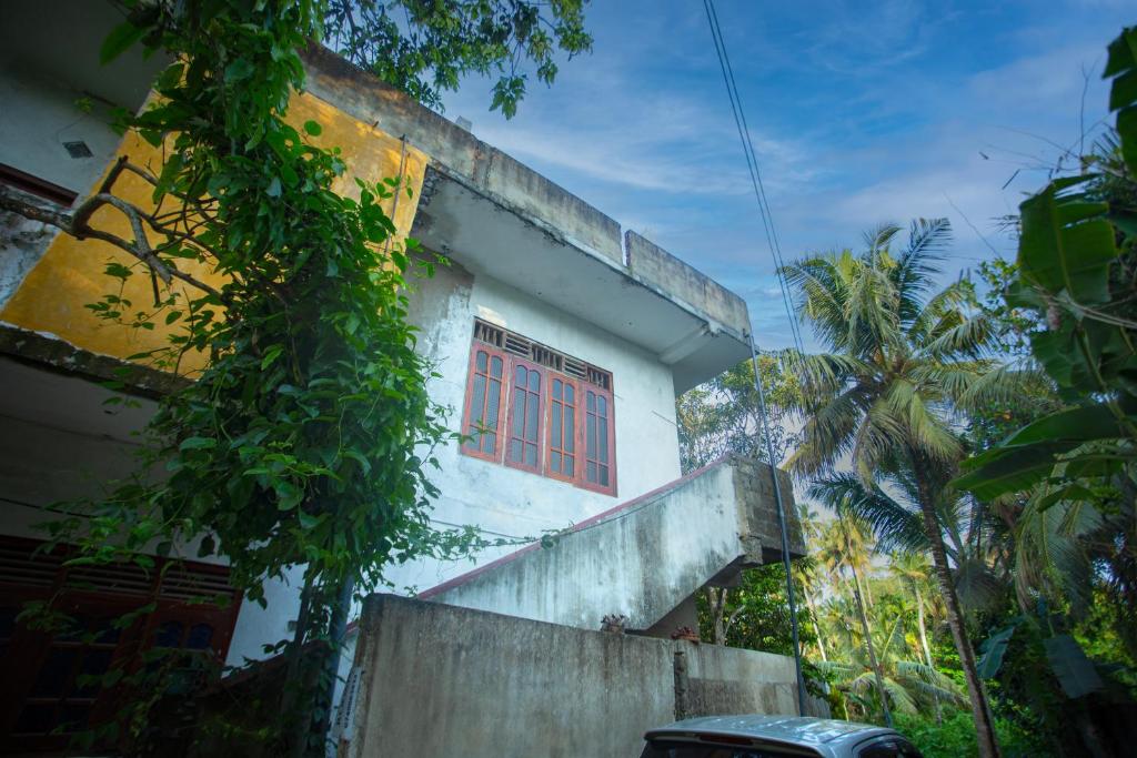 Image of  Astroma 